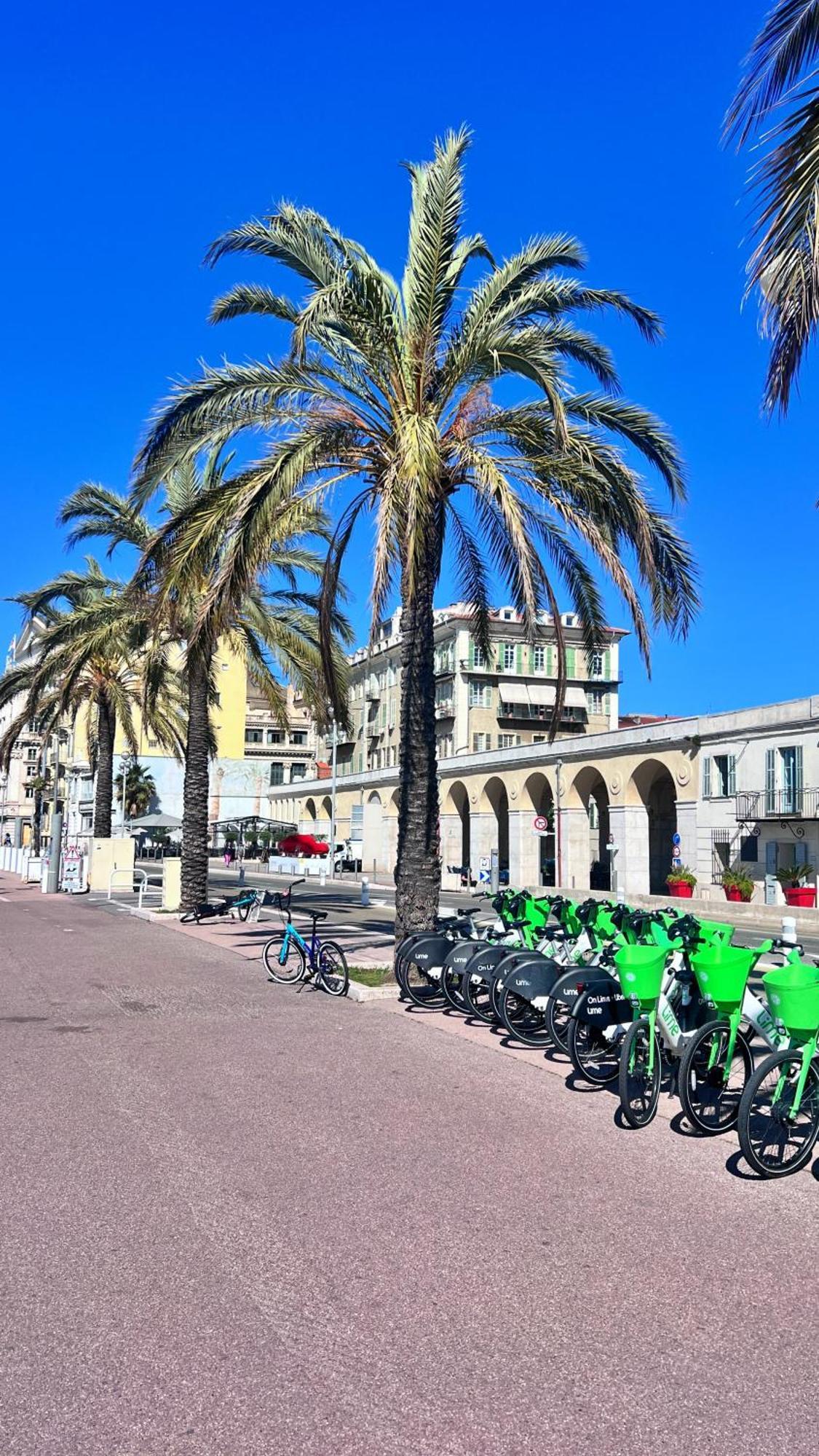 דירות ניס L'Avenir Du Ray מראה חיצוני תמונה